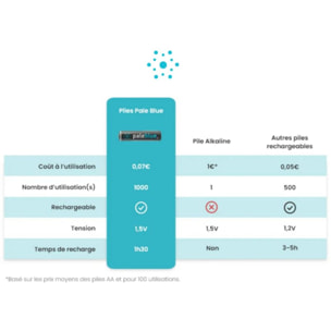 Pile rechargeable PALE BLUE USB AA type C (LR06)