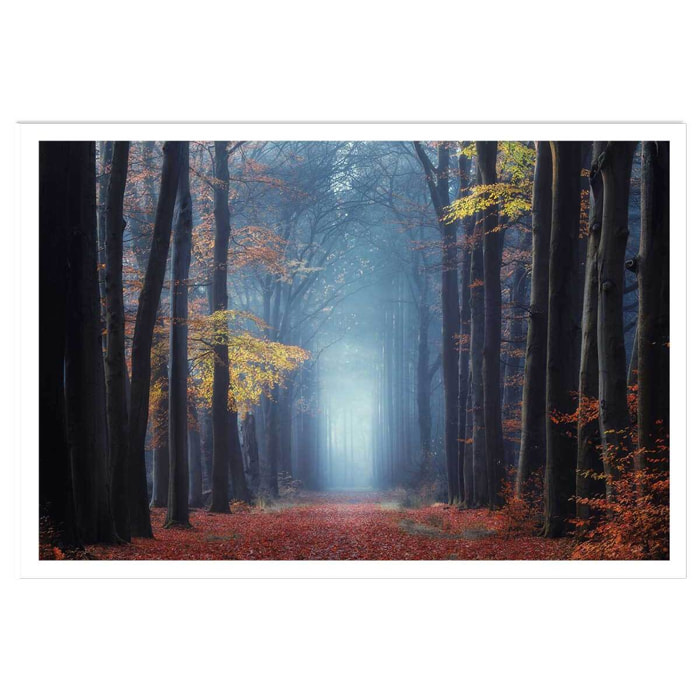 Affiche ""Lumière douce d'automne"" Affiche seule