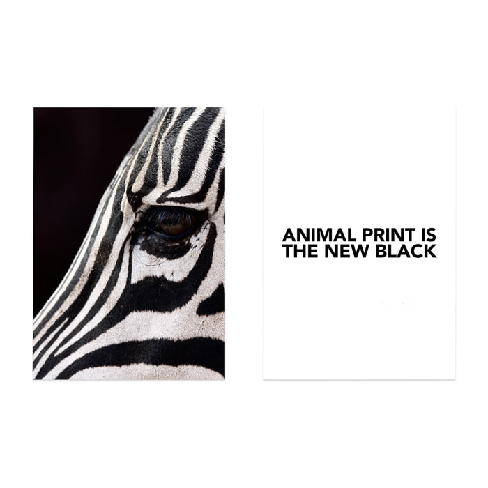 Pack Posters Animal Print Hauteur: 46 Longueur: 33.7 Largeur: 2