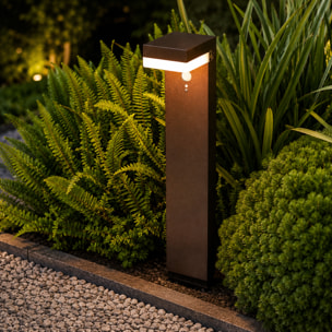 Potelet solaire CENOVA TALL H50CM 600LM