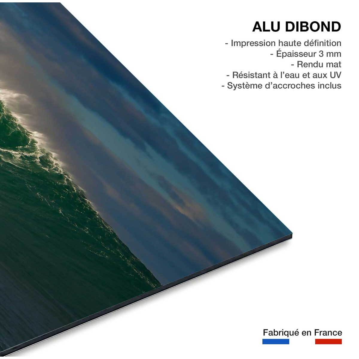 Tableau surf à belharra Tableau alu Dibond