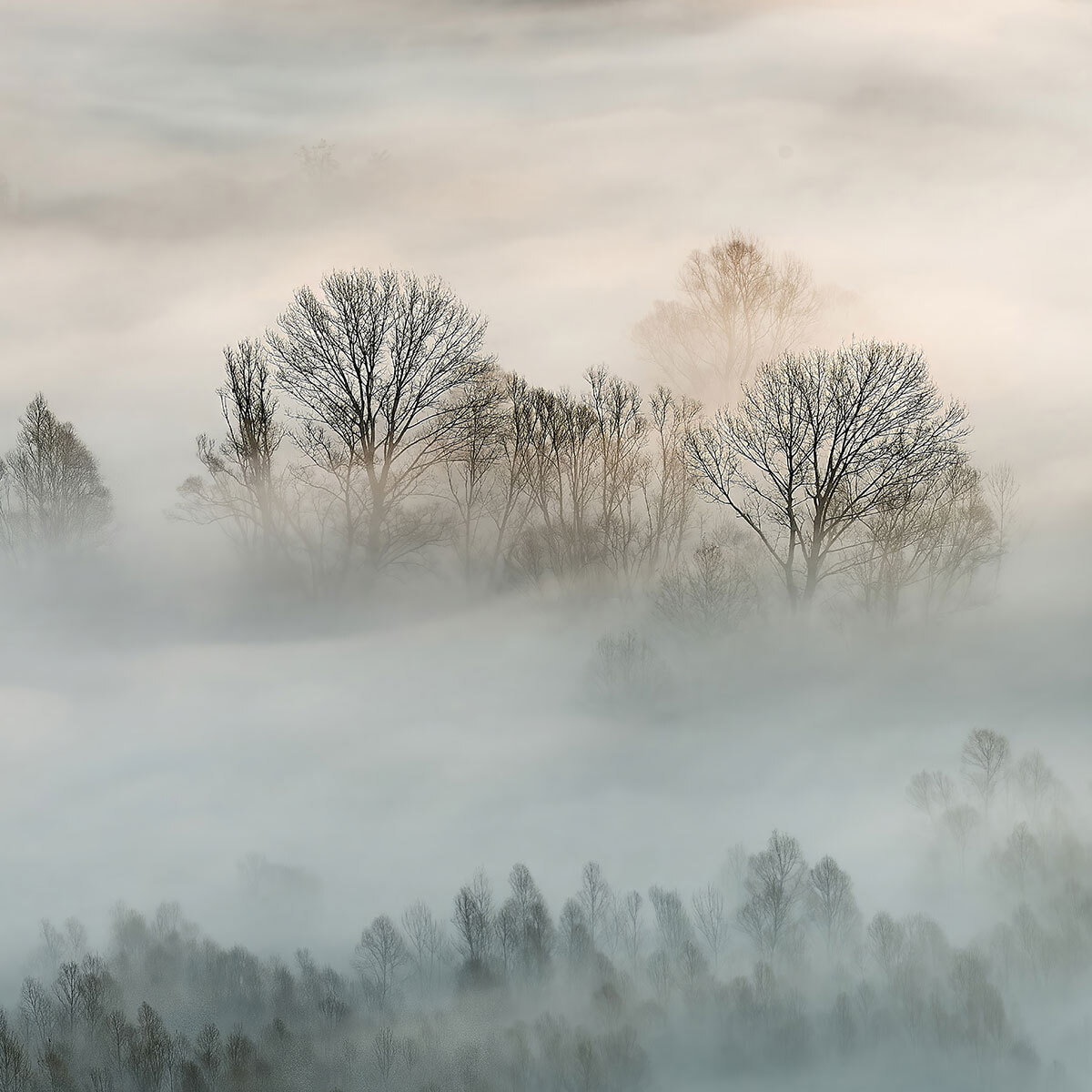 Papier peint panoramique la toscane sous la brume Intissé