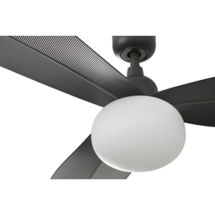 PALMA M ventilatore da soffitto marrone IP44 E27