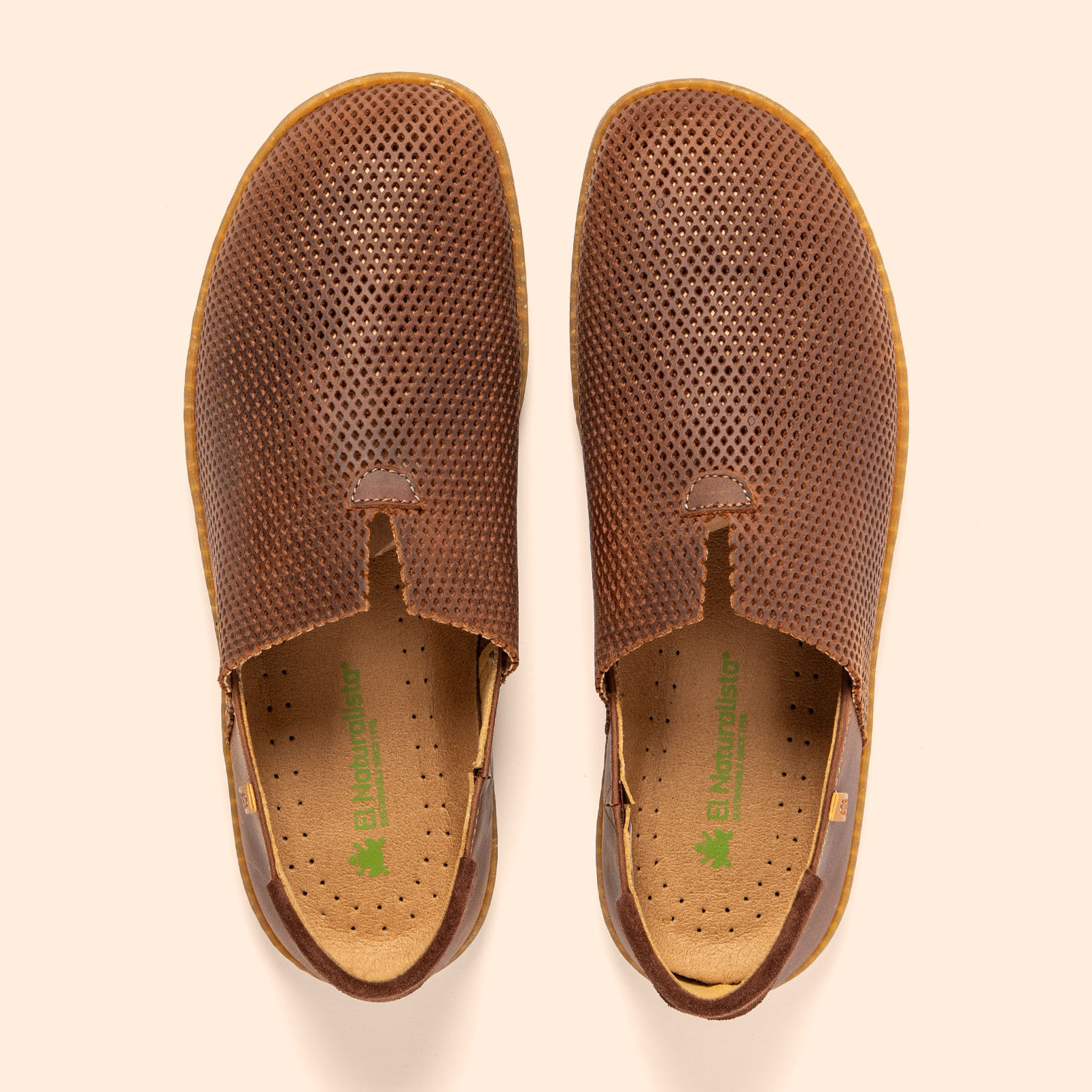 Zapatos N275R ARIZONA PERFORADA TERRA/EL VIAJERO color Terra