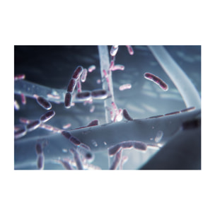 AEG Filtro de protección contra particulas ultrafinas, bacterías y virus para Multi 7000 AFWCLN5