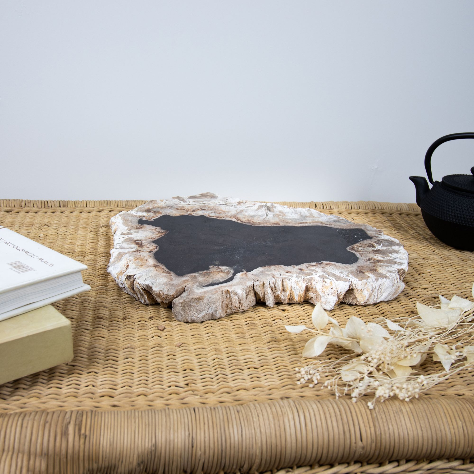 Plateau de présentation en bois pétrifié nuancé