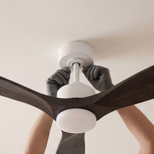 Forlight - Ventilador Stem Evo ø1320mm Acero, Cristal Blanco palas Negras, Arenado