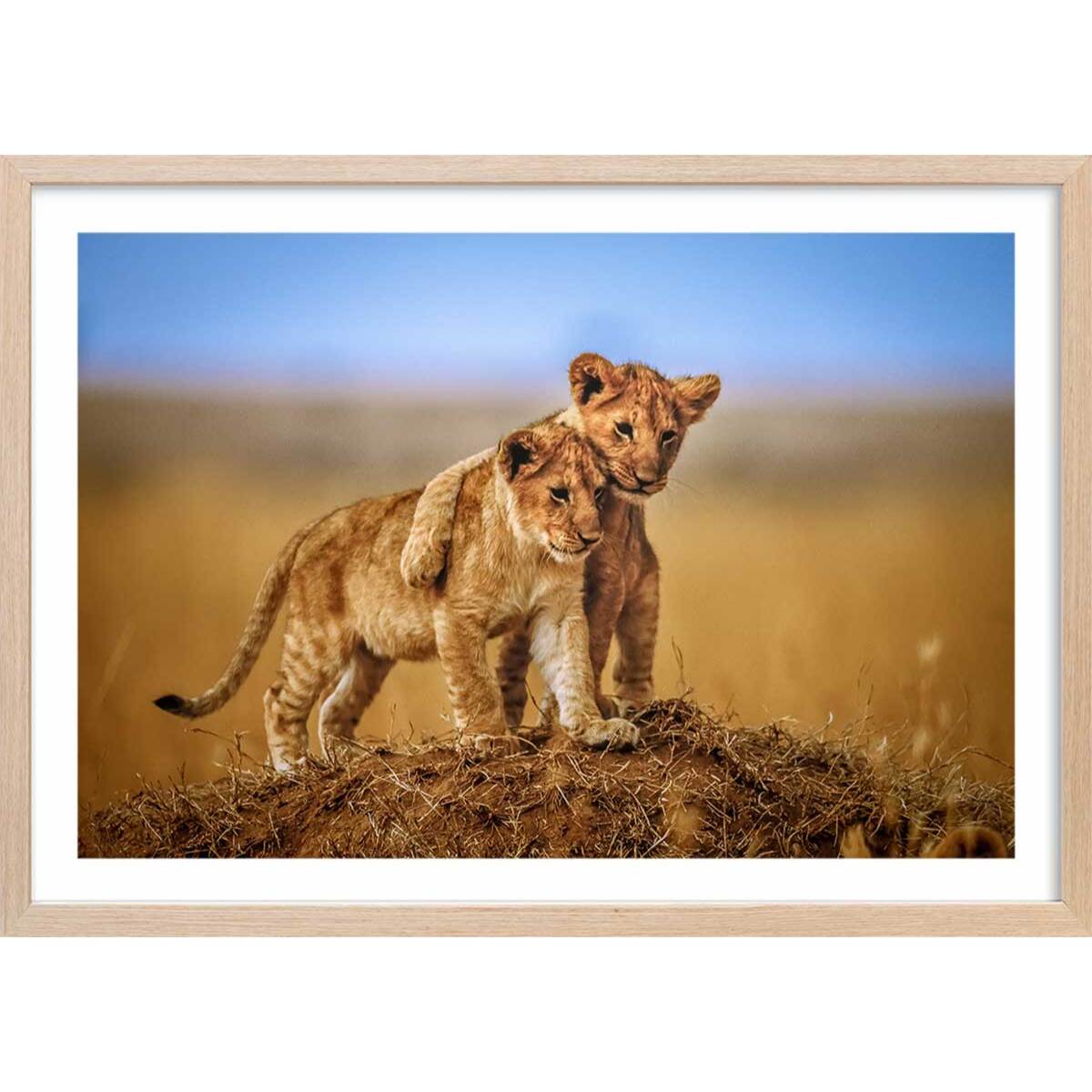 Affiche animaux brothers for the life Affiche + cadre en bois - Chêne