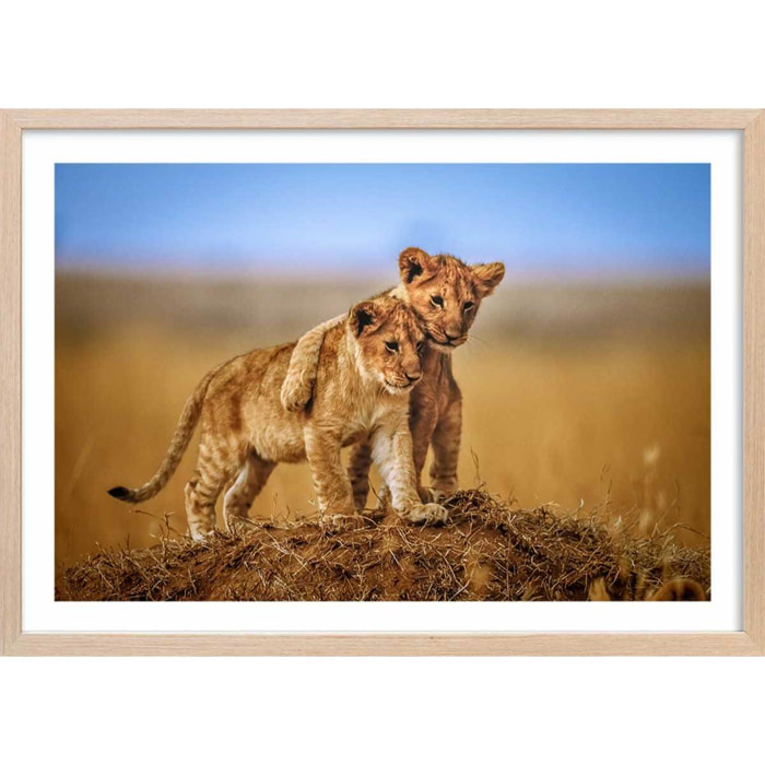 Affiche animaux brothers for the life Affiche + cadre en bois - Chêne