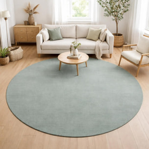 Tapis salon MITA, soft et soyeux, tapis uni à l'aspect Shaggy