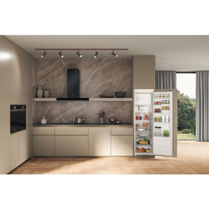 Réfrigérateur 1 porte encastrable WHIRLPOOL WHSD184011A1 FR