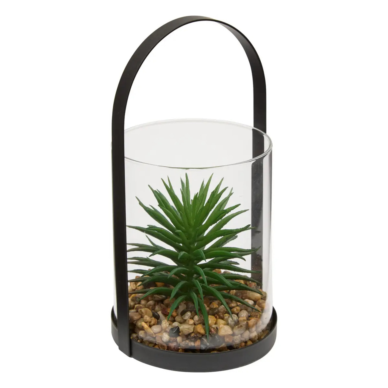 Terrarium Wilo 11x10cm