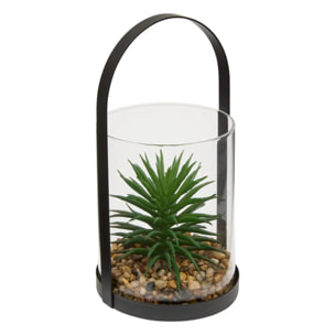 Terrarium Wilo 11x10cm