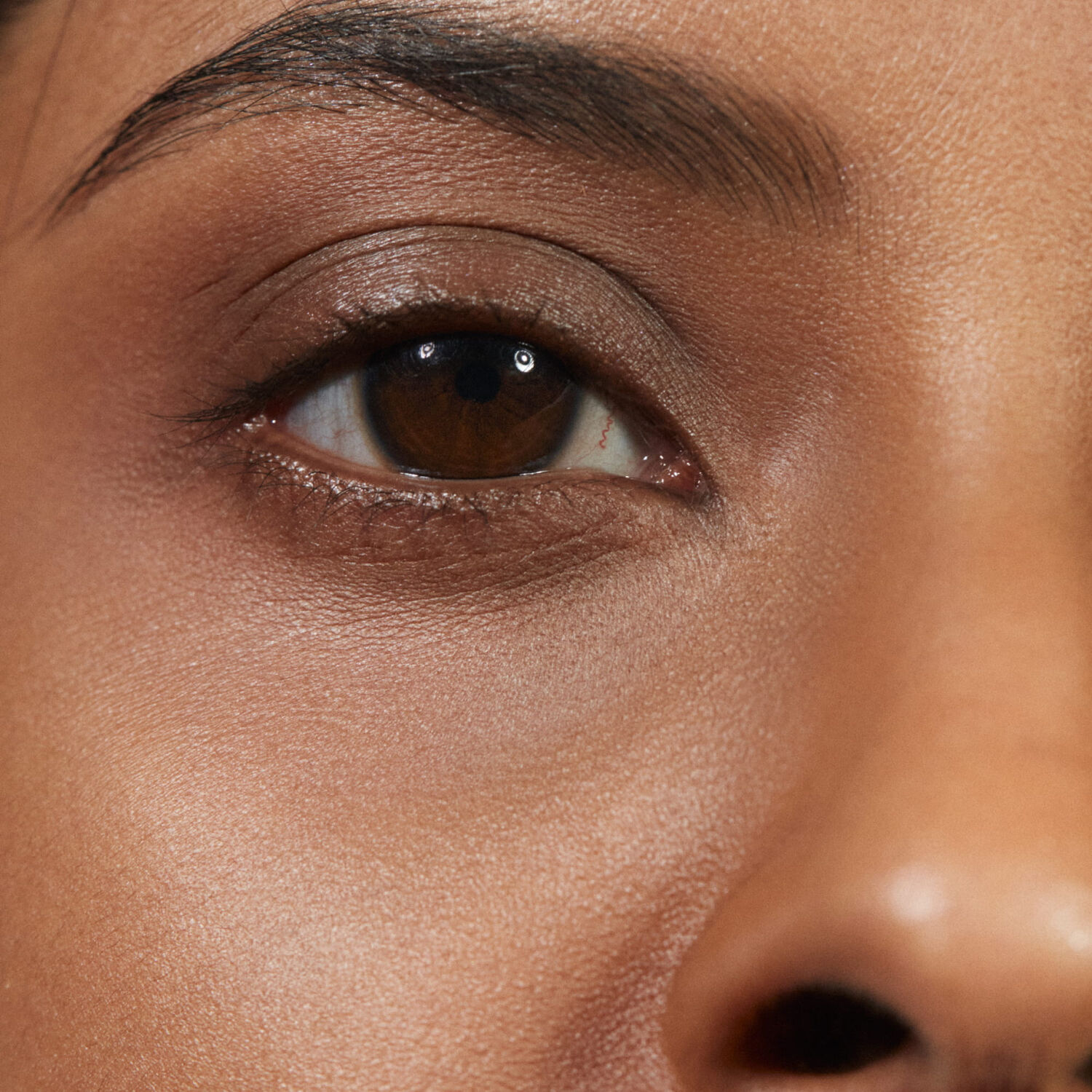 The Concealer - Correcteur Anti-cernes Perfectionnant Lumineux 4 ml