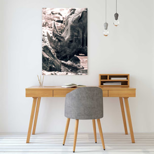 Tableau rhinoceros hommage à sudan.. Tableau plexiglas