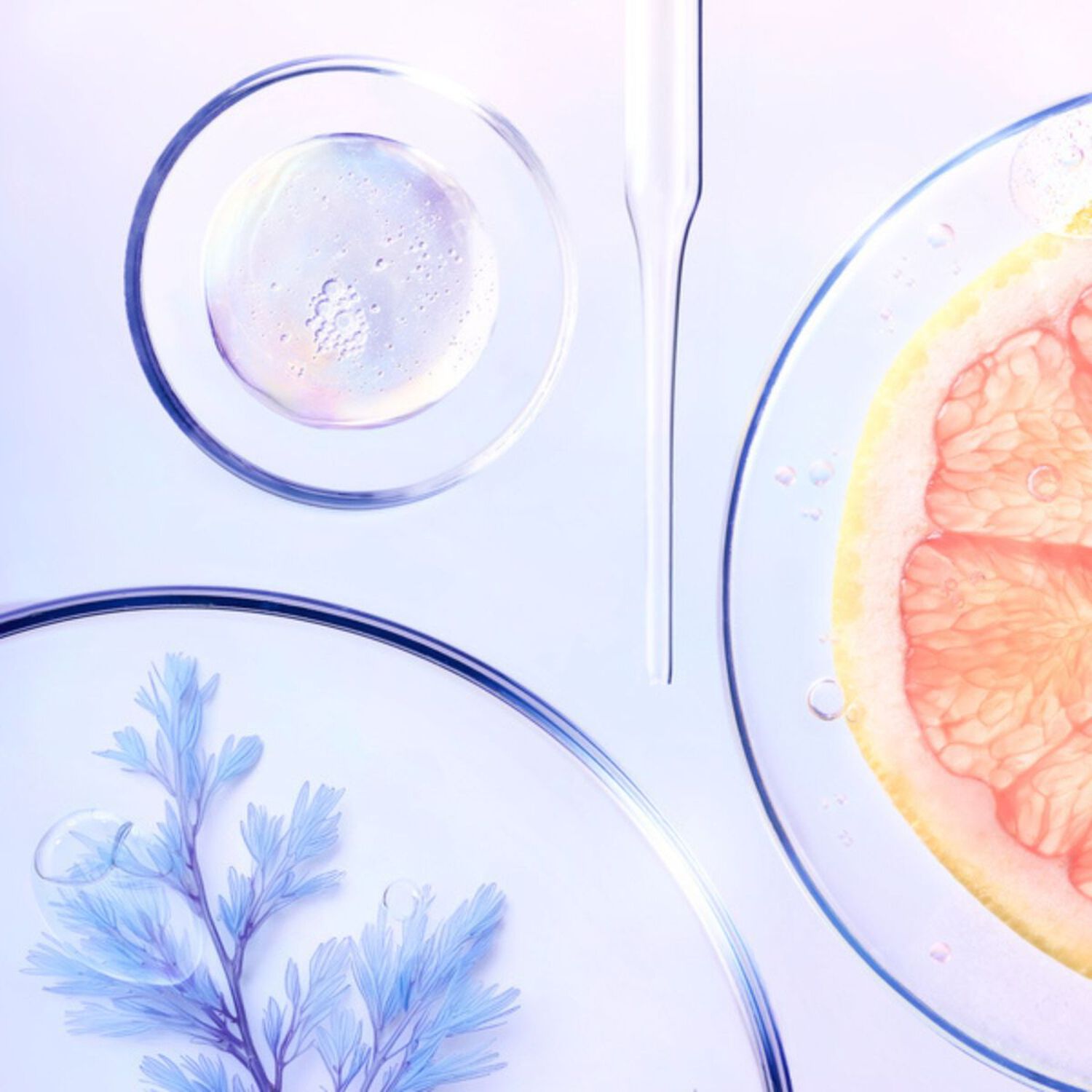 Nectar de Lumière - Booster d'Éclat Exfoliant Perfecteur 50ml             