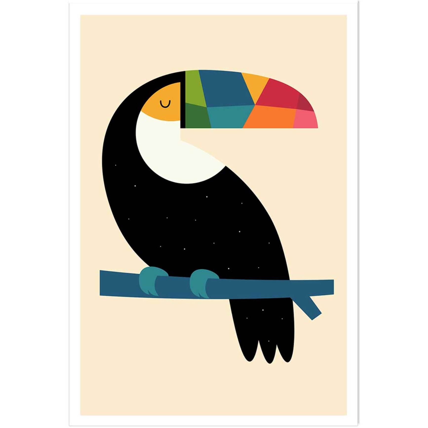 Affiche  toucan Affiche seule