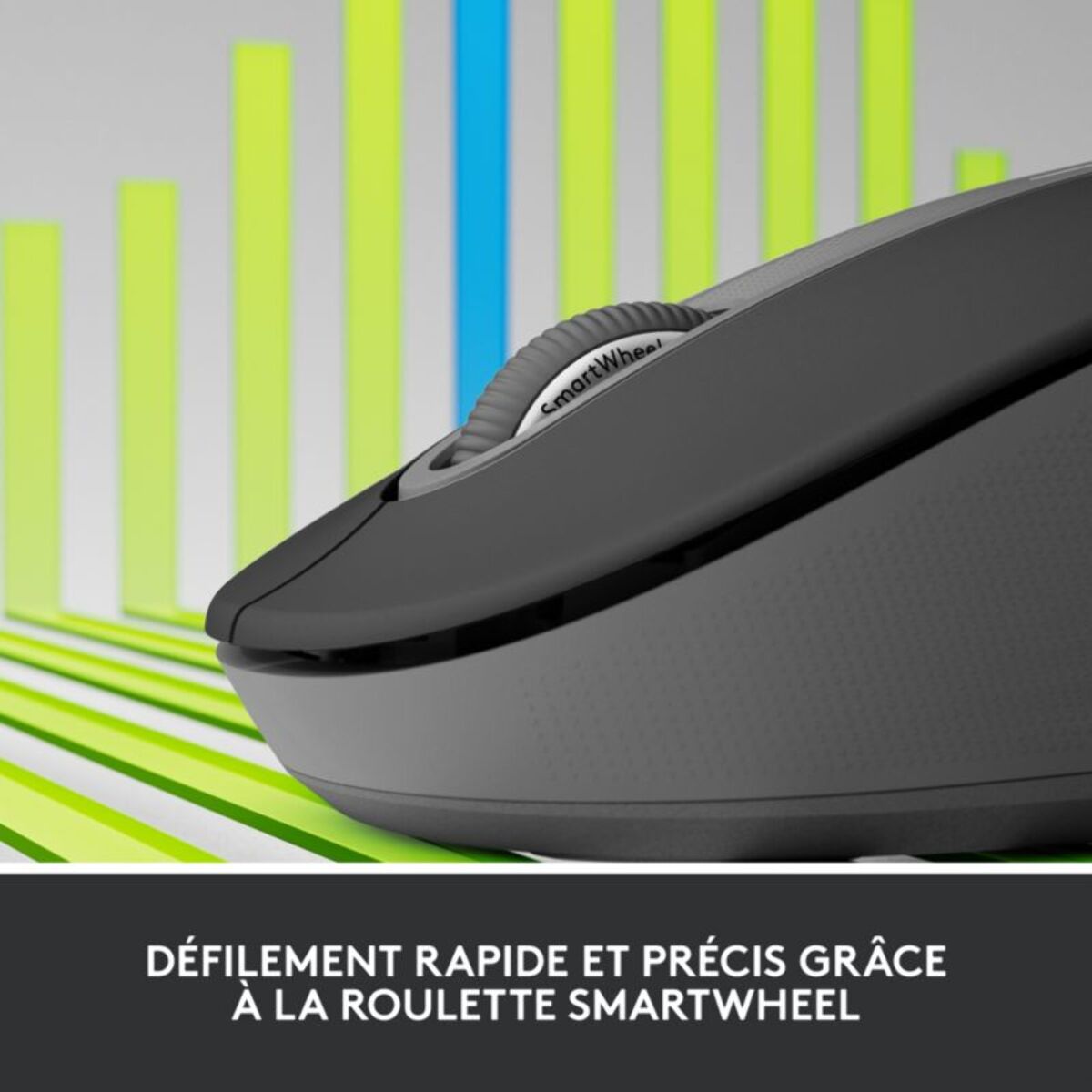 Souris sans fil LOGITECH Signature M650 L Graphite - grde taille