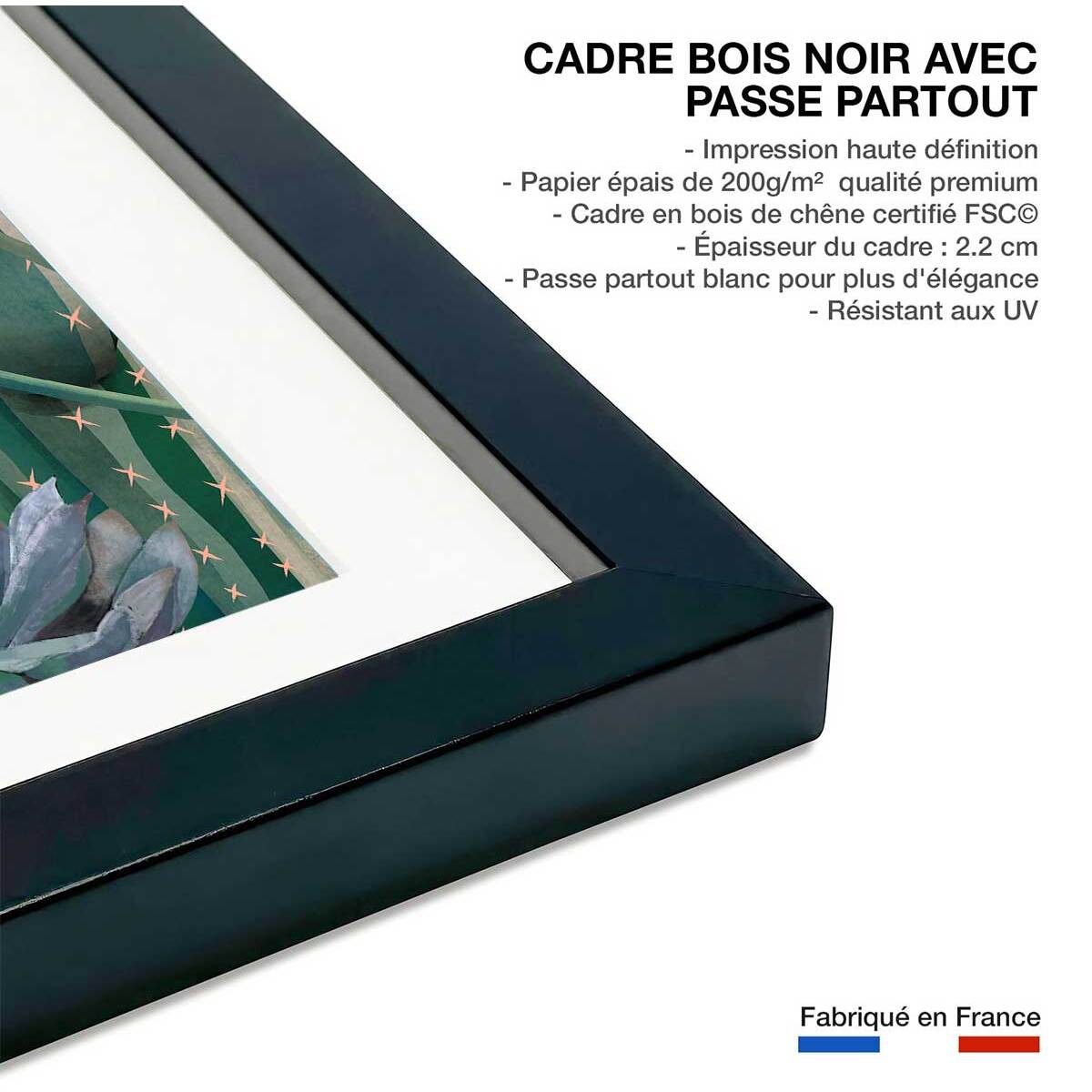 Affiche illustration jardin succulentes et cie Affiche sous cadre noir