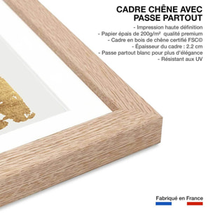 Poster fleur pollen doré Affiche sous cadre bois