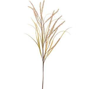 Pennisetum Con 14 Diramazioni. Altezza 130 Cm - Pezzi 1 - 24X130X5cm - Colore: Bianco - Bianchi Dino - Fiori Vari A Ramo