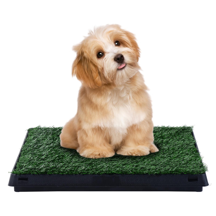 Litière gazon synthétique chiens toilettes portables à pelouse tiroir à déjection 63L x 51l x 6H cm noir vert