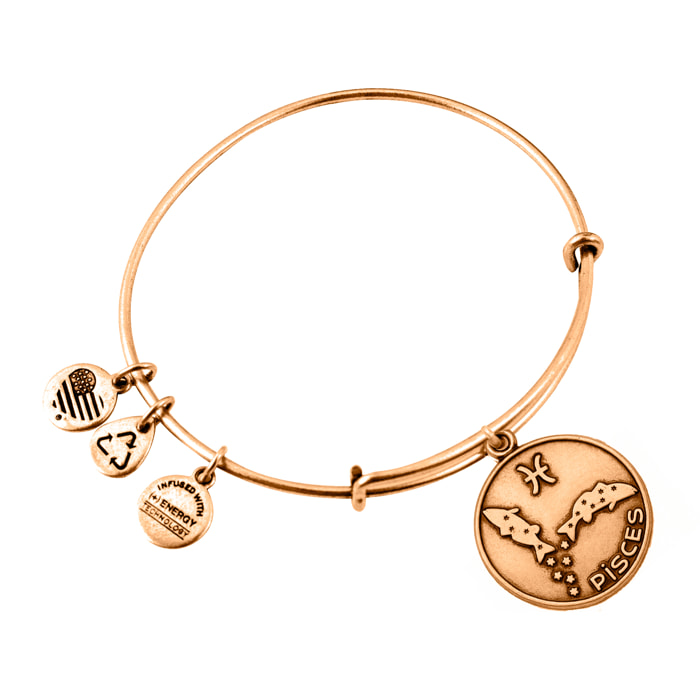Pulsera Alex And Ani Mujer A13EB01PIRG