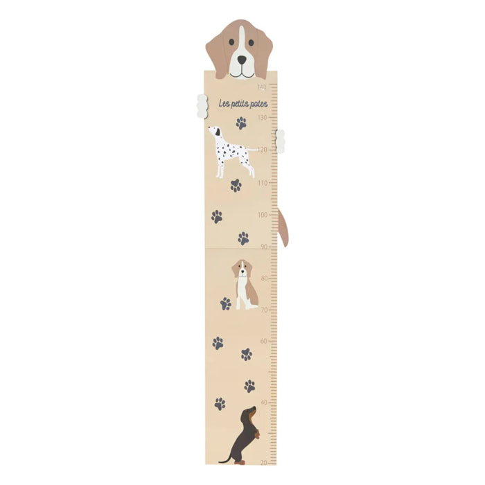 Toise chien Scott H.140cm bois