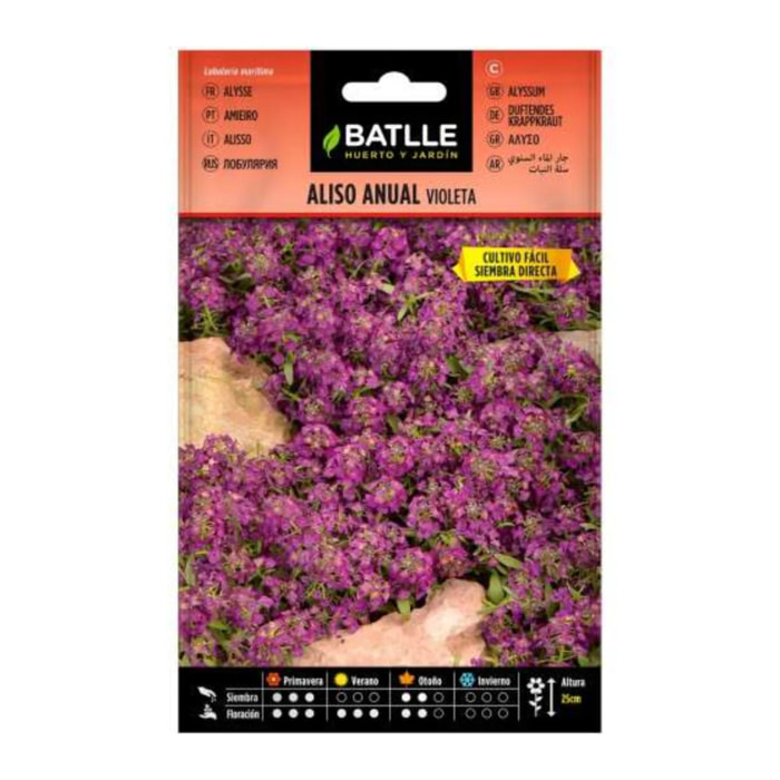 Semillas de Aliso anual violeta Batlle