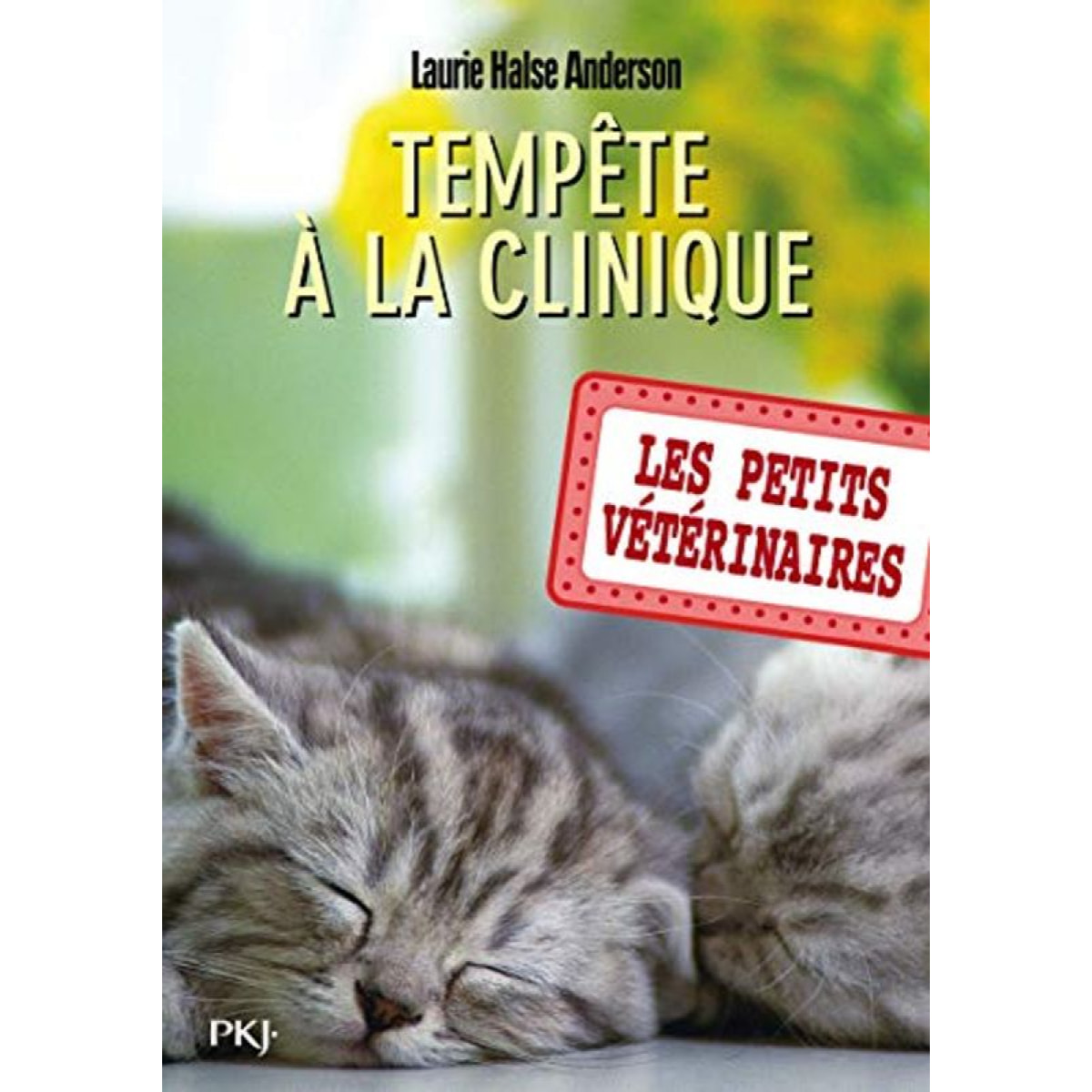 Anderson, Laurie Halse | Les petits vétérinaires - tome 20 : Tempête à la clinique (20) | Livre d'occasion