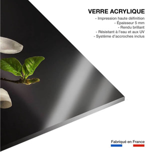 Tableau fleurs magnolia  Tableau plexiglas