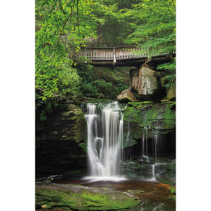 Tableau cascade chutes d'elakala ouest  Tableau alu Dibond