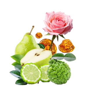 Une Promesse - Eau de Parfum 100 ml