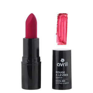 Rouge à Lèvres Certifié Bio - Rouge à Lèvres au Beurre de Karité 