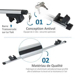 Barres de toit de voiture verrouillables 2 clés fournies dim. 125L x 5,5l x 7H cm aluminium gris noir