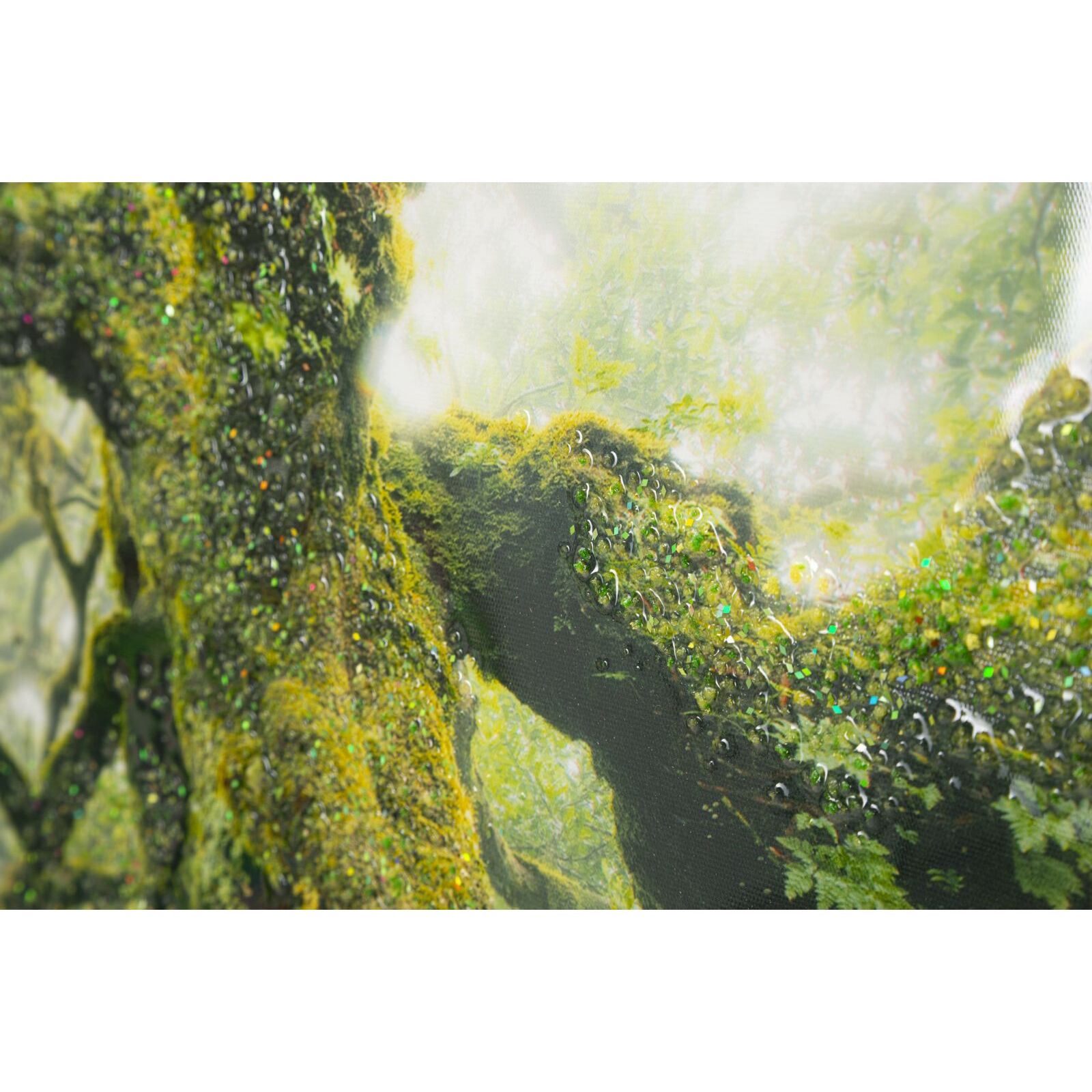 STAMPA SU TELA LACCATA C/CORNICE FORESTA CM 90X4X60