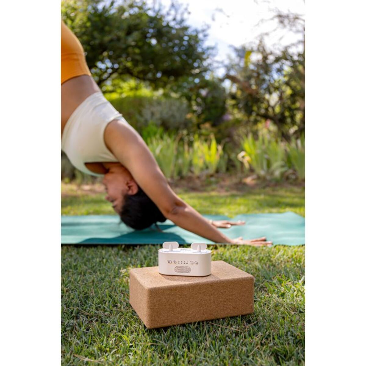 Box audio sport MORPHEE FLOW