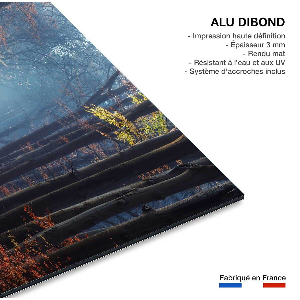 Tableau Lumière d'automne Tableau alu Dibond