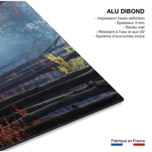 Tableau Lumière d'automne Tableau alu Dibond