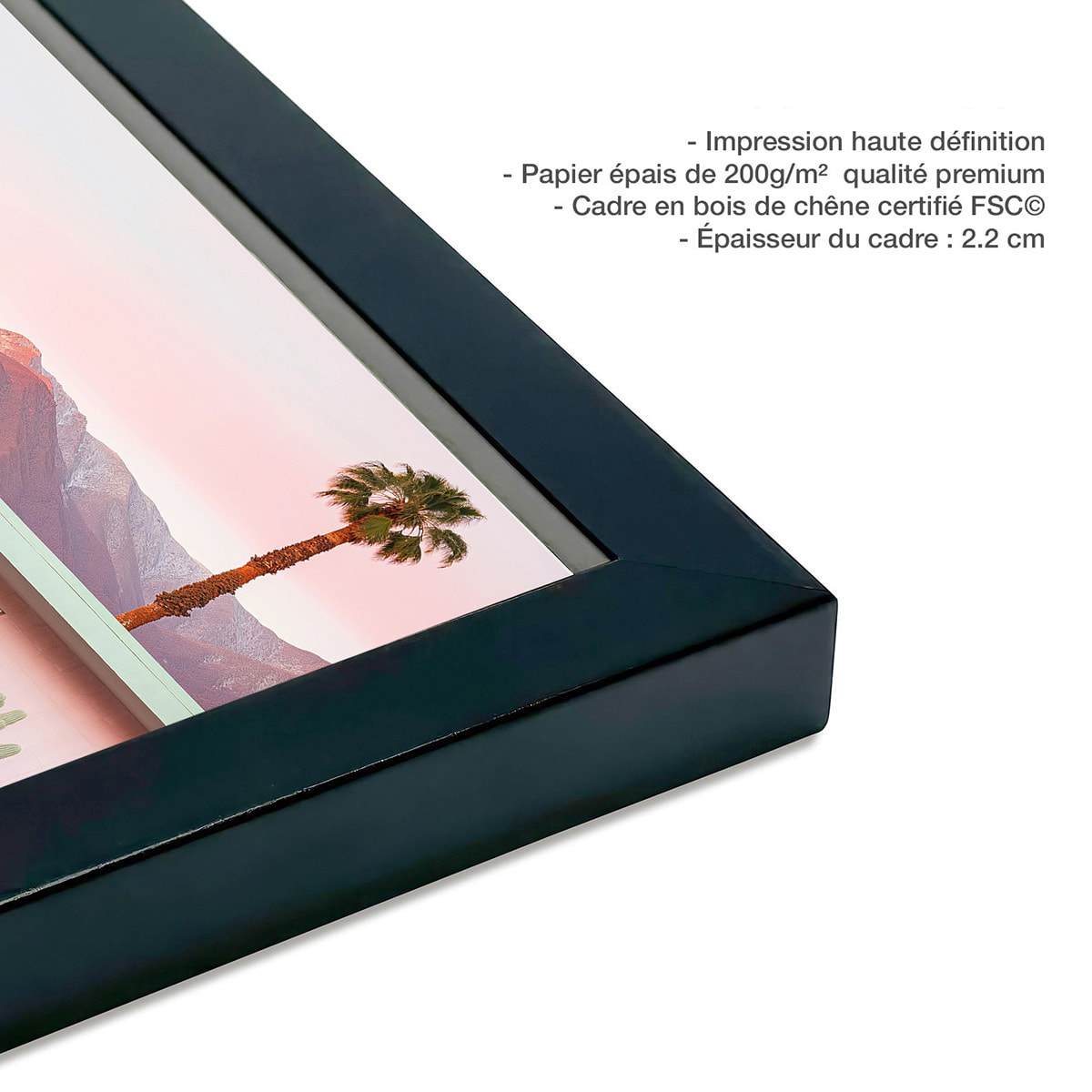 Affiche maison rose à toit plat Affiche + cadre en bois - Noir