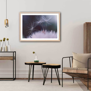 Affiche fleurs dandelion seeds Affiche + cadre en bois - Chêne