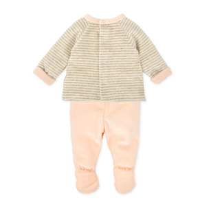 JESUSITO PÉTALO - PÉtalo