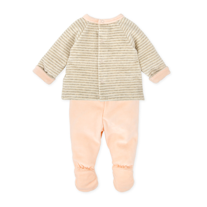 JESUSITO PÉTALO - PÉtalo