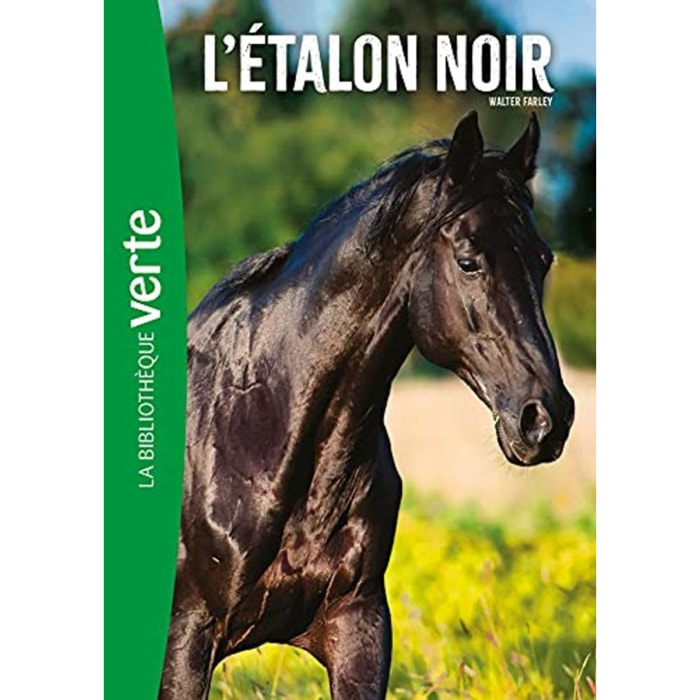 Farley, Walter | L'Étalon Noir 01 NED - L'Étalon Noir | Livre d'occasion