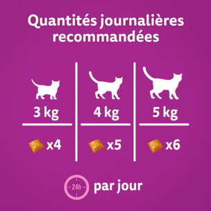 WHISKAS Aliment complémentaire Jeu Vitalité au poulet pour chat 4x45g