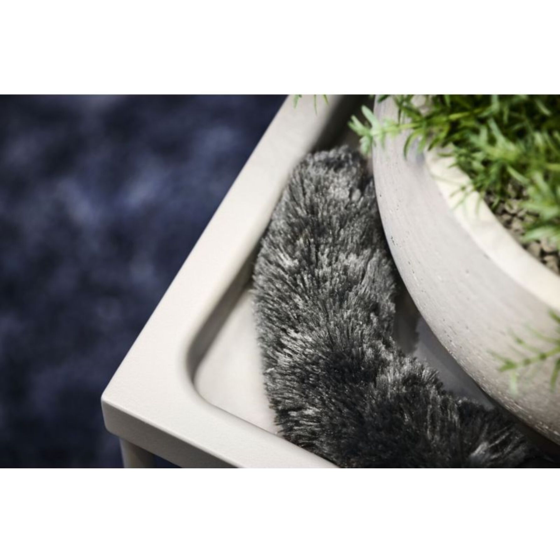 Plumeau ELECTROLUX KIT22 performance filtre brosse aspirateur balai Animal