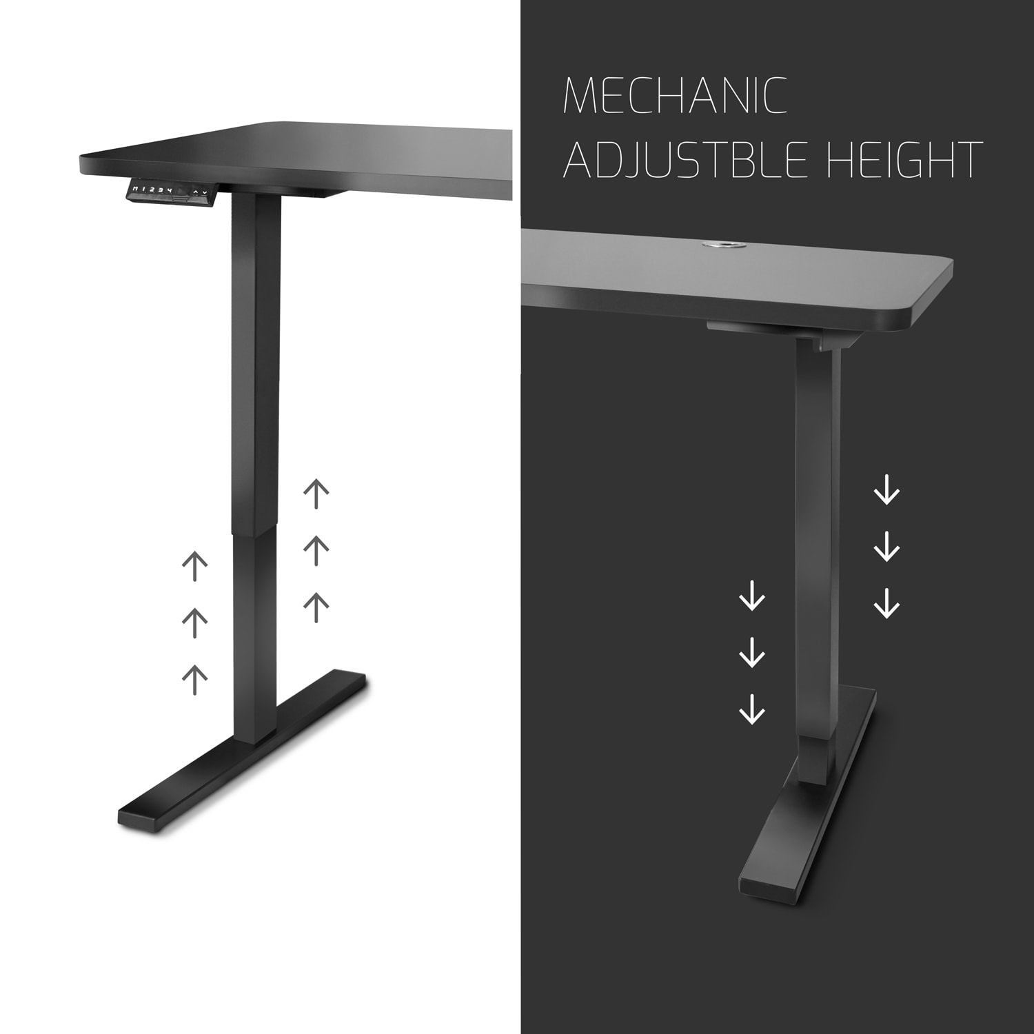 FrankyStar - Stand Up Desk scrivania elettrica con tecnologia dual motor, stabile ripiano con regolazione digitale.