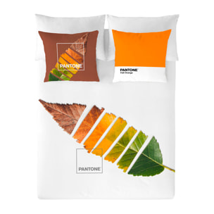 Pantone - Funda Nórdica Estampada - Cierre Solapa - 100% Algodón - Incluye 1/2 Fundas de Almohada - Leaf