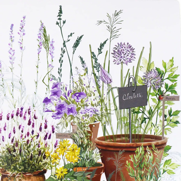 Set vinyle 860 g/m² imprimé vert violet Jardin aromatique provence