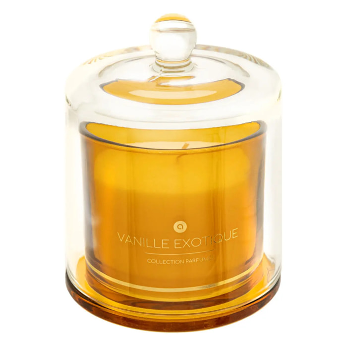 Bougie parfumée Ilae 240g cloche verre vanille